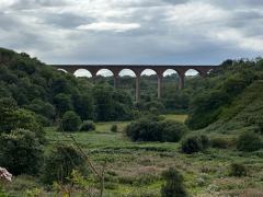 A viaduct just outside Horden